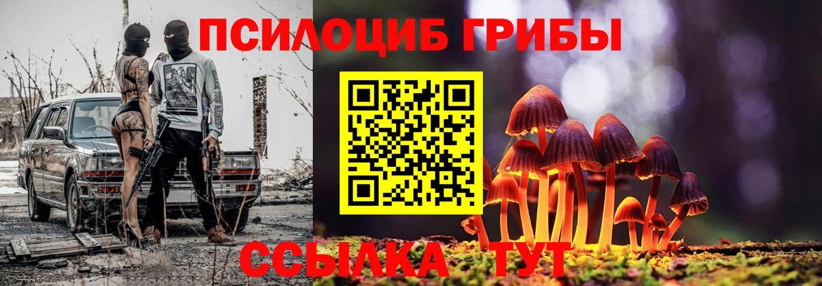 Галлюциногенные грибы прущие грибы Кольчугино