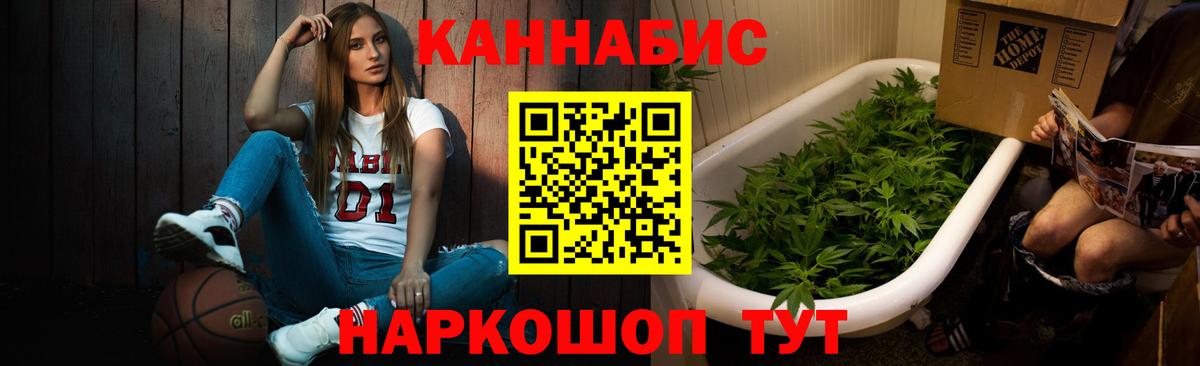 Конопля гибрид  Вход с VPN  Кольчугино  Конопля White Widow 